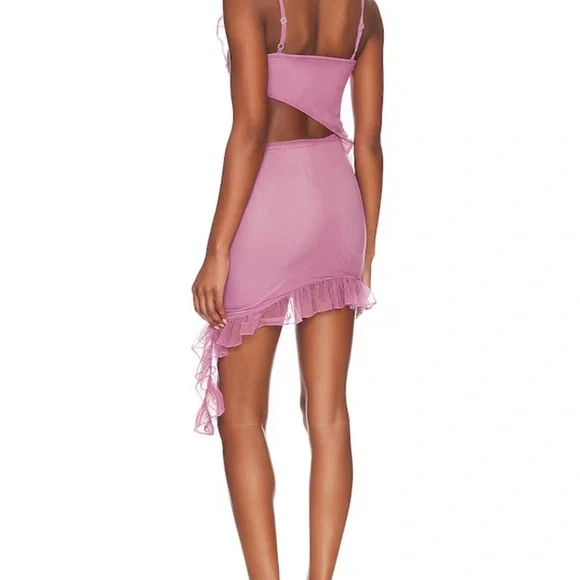 Revolve - Pink Ruffle Dress - Picture 5 of 6
